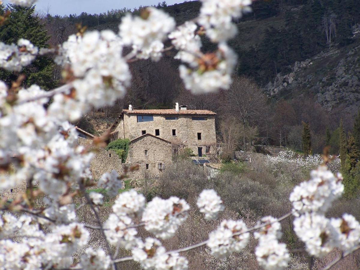 Gîte de Chapelèche Les Châtaigniers Gluiras Extérieur photo