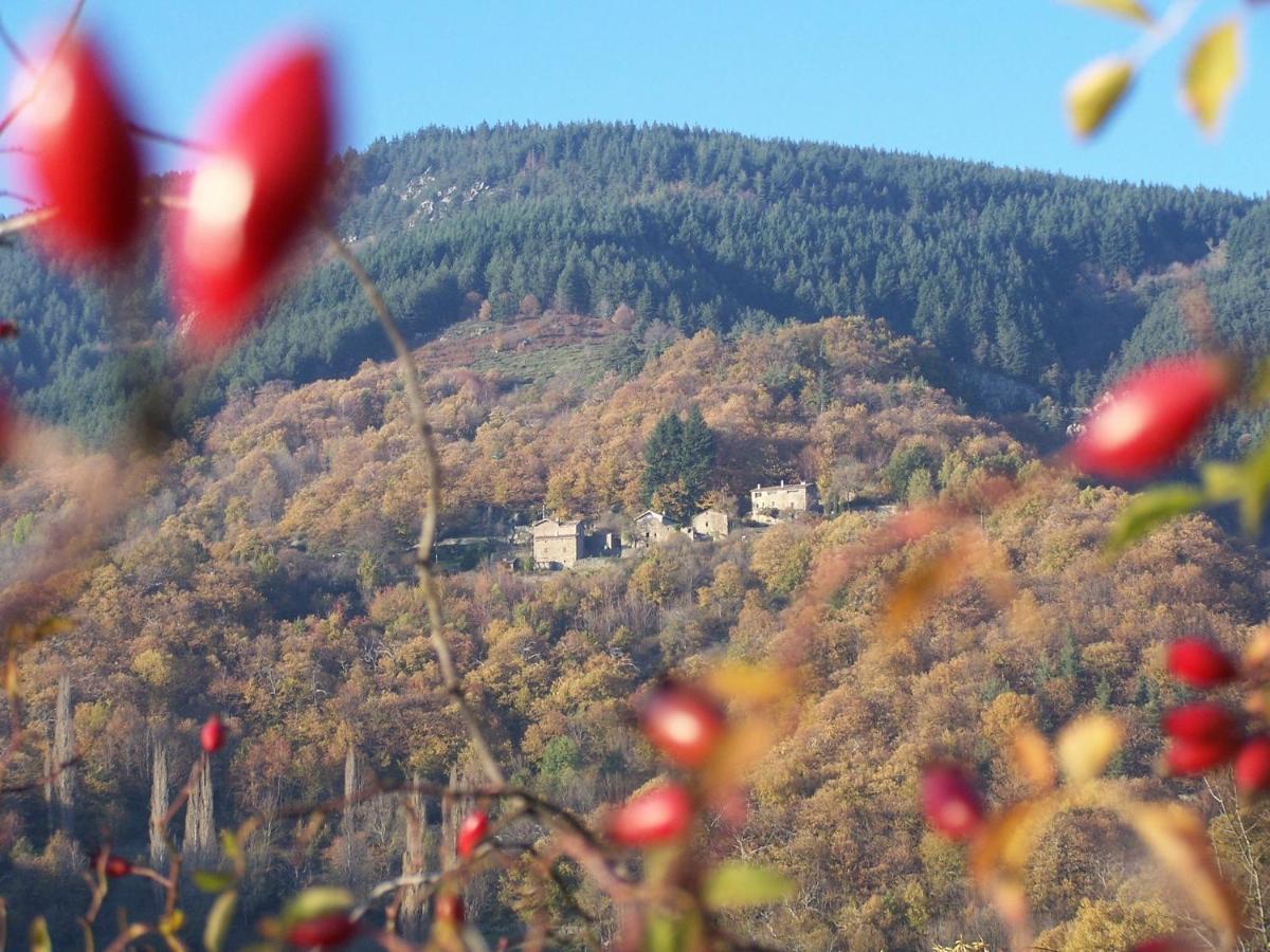 Gîte de Chapelèche Les Châtaigniers Gluiras Extérieur photo
